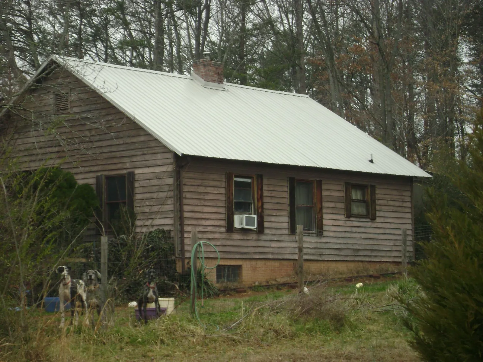 White metal roof on an old wood sided farmhouse, from a Asphalt Shingle Roof Repair job in Westdale